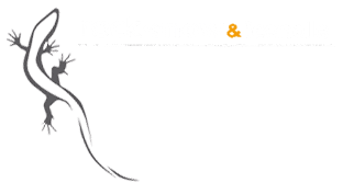 rock snow & ice(endle)